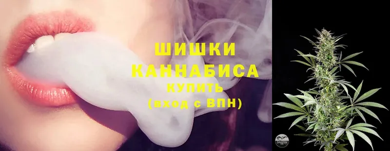 Каннабис SATIVA & INDICA  как найти закладки  Новосибирск 